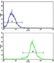 Flow cytometric analysis of HepG2 cells using Nestin antibody (bottom histogram) compared to a negative control cell (top histogram). FITC-conjugated goat-anti-rabbit secondary Ab was used for the analysis.