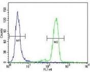 PML antibody flow cytometric analysis of HeLa cells (right histogram) compared to a negative control (left histogram). FITC-conjugated goat-anti-rabbit secondary Ab was used for the analysis.