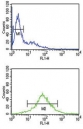 EZH2 Antibody Jurkat Cell FACS. EZH2 antibody flow cytometric analysis of Jurkat cells (bottom histogram) compared to negative control cells (top histogram).