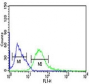 PHGDH antibody flow cytometric analysis of Ramos cells (green) compared to a negative control (blue). FITC-conjugated goat-anti-rabbit secondary Ab was used for the analysis.