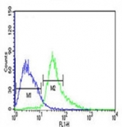 ATF1 antibody flow cytometric analysis of Jurkat cells (right histogram) compared to a negative control (left histogram). FITC-conjugated goat-anti-rabbit secondary Ab was used for the analysis.