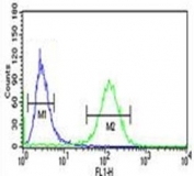 RAB27B antibody flow cytometric analysis of NCI-H460 cells (green) compared to a <a href=../search_result.php?search_txt=n1001>negative control</a> (blue). FITC-conjugated goat-anti-rabbit secondary Ab was used for the analysis.