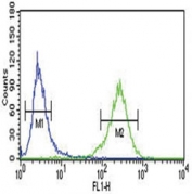 AHR antibody flow cytometric analysis of NCI-H460 cells (green) compared to a negative control (blue). FITC-conjugated goat-anti-rabbit secondary Ab was used for the analysis.