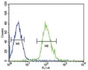 Beta III Tubulin antibody flow cytometric analysis of HepG2 cells (right histogram) compared to a negative control cell (left histogram). FITC-conjugated goat-anti-rabbit secondary Ab was used for the analysis.