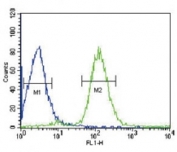 VHL Antibody HepG2 Flow Cytometry. Flow cytometric analysis of HepG2 cells using VHL antibody demonstrates a clear rightward shift of the green histogram (VHL antibody) relative to the blue histogram (negative control), consistent with expression of Von Hippel-Lindau protein (VHL). VHL is a tumor suppressor protein that regulates hypoxia-inducible factor (HIF) signaling and serves as a central component of cellular oxygen-sensing pathways. The observed staining pattern supports detection of endogenous VHL expression and demonstrates the utility of this antibody for studies of tumor suppression, hypoxia signaling, oxygen homeostasis, and HIF-regulated cellular responses. A FITC-conjugated goat anti-rabbit secondary antibody was used for detection.
