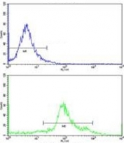 Flow cytometric analysis of WiDr cells using ASS1 antibody (green) compared to a <a href=