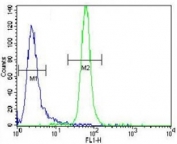 MUSK antibody flow cytometric analysis of CEM cells (right histogram) compared to a negative control cell (left histogram). FITC-conjugated goat-anti-rabbit secondary Ab was used for the analysis.