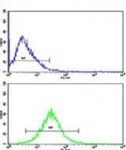 Flow cytometric analysis of HepG2 cells using GAPDH antibody (bottom histogram) compared to a negative control cell (top histogram). FITC-conjugated goat-anti-rabbit secondary Ab was used for the analysis.