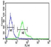 DGCR8 antibody flow cytometric analysis of NCI-H460 cells (green) compared to a <a href=../search_result.php?search_txt=n1001>negative control</a> (blue). FITC-conjugated goat-anti-rabbit secondary Ab was used for the analysis.