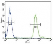 SMAD3 antibody flow cytometric analysis of MDA-MB231 cells (green) compared to aÂ negative control