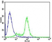 GATA3 Antibody MCF7 FACS. Flow cytometric analysis of MCF-7 cells using GATA3 antibody (green) and an isotype control of mouse IgG2b (blue); Ab was diluted at 1:25.