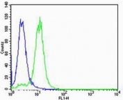 vWF Antibody for FACS analysis. Analysis of K562 cells using vWF Antibody for FACS / von Willebrand Factor Flow Cytometry Antibody (clone 907CT12.1.9) demonstrates a clear rightward shift in fluorescence intensity (green) compared to the mouse IgG1 isotype control (blue), indicating specific intracellular detection of von Willebrand factor (VWF). The distinct separation between positive and control populations supports reliable gating and identification of VWF-expressing cells.