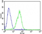 Flow cytometric analysis of HepG2 cells using Dlk1 antibody (green) compared to an isotype control of mouse IgG2b (blue); Ab was diluted at 1:25 dilution. An Alexa Fluor 488 goat anti-mouse lgG was used as the secondary Ab.