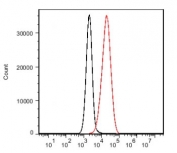 FACS testing of Jurkat T cells (black, negative cell line) and Ramos B cells (red, positive cell lilne), using CD19 antibody.