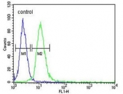Flow cytometry testing of human HEK293 cells with AIF antibody; Blue=isotype control, Green= AIF antibody.