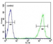 Flow cytometry testing of fixed and permeabilized human Ramos cells with CD168 antibody; Blue=isotype control, Green= CD168 antibody.