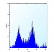 Flow cytometry testing of mouse Neuro-2a cells with Mekkk3 antibody; left histogram=isotype control, right histogram= Mekkk3 antibody.