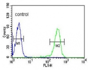 IgJ Antibody HL60 FACS. Flow cytometry analysis of fixed and permeabilized human HL60 cells using IgJ antibody demonstrates a clear rightward shift in fluorescence intensity relative to the isotype control, consistent with intracellular detection of JCHAIN / IGJ, an immunoglobulin-associated protein linked to plasma cell differentiation and antibody secretion pathways; blue histogram represents isotype control and green histogram represents IgJ antibody staining.