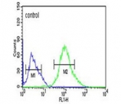 Flow cytometry testing of human Ramos cells with FCRL4 antibody; Blue=isotype control, Green= FCRL4 antibody.