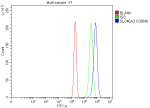 Flow Cytometry analysis of RT4 cells using anti-SLC46A3 antibody. Overlay histogram showing RT4 cells stained with (Blue line). To facilitate intracellular staining, cells were fixed with 4% paraformaldehyde and permeabilized with permeabilization buffer. The cells were blocked with 10% normal goat serum. And then incubated with rabbit anti-SLC46A3 antibody (1 ug/million cells) for 30 min at 20oC. DyLight 488 conjugated goat anti-rabbit IgG (5-10 ug/million cells) was used as secondary antibody for 30 minutes at 20oC. Isotype control antibody (Green line) was rabbit IgG (1 ug/million cells) used under the same conditions. Unlabelled sample without incubation with primary antibody and secondary antibody (Red line) was used as a blank control.