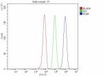Flow Cytometry analysis of HepG2 cells using anti-NGEF antibody. Overlay histogram showing HepG2 cells stained with (Blue line). The cells were fixed with 4% paraformaldehyde and blocked with 10% normal goat serum. And then incubated with rabbit anti-NGEF antibody (1 ug/million cells) for 30 min at 20oC. DyLight 488 conjugated goat anti-rabbit IgG (5-10 ug/million cells) was used as secondary antibody for 30 minutes at 20oC. Isotype control antibody (Green line) was rabbit IgG (1 ug/million cells) used under the same conditions. Unlabelled sample without incubation with primary antibody and secondary antibody (Red line) was used as a blank control.