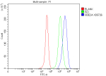 Flow Cytometry analysis of HeLa cells using anti-UBE2A/UBE2B antibody. Overlay histogram showing HeLa cells stained with (Blue line). To facilitate intracellular staining, cells were fixed with 4% paraformaldehyde and permeabilized with permeabilization buffer. The cells were blocked with 10% normal goat serum. And then incubated with rabbit anti-UBE2A/UBE2B antibody (1 ug/million cells) for 30 min at 20oC. DyLight 488 conjugated goat anti-rabbit IgG (5-10 ug/million cells) was used as secondary antibody for 30 minutes at 20oC. Isotype control antibody (Green line) was rabbit IgG (1 ug/million cells) used under the same conditions. Unlabelled sample without incubation with primary antibody and secondary antibody (Red line) was used as a blank control.