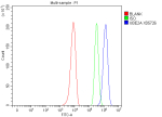Flow Cytometry analysis of PC-12 cells using anti-UBE2A/UBE2B antibody. Overlay histogram showing PC-12 cells stained with (Blue line). To facilitate intracellular staining, cells were fixed with 4% paraformaldehyde and permeabilized with permeabilization buffer. The cells were blocked with 10% normal goat serum. And then incubated with rabbit anti-UBE2A/UBE2B antibody (1 ug/million cells) for 30 min at 20oC. DyLight 488 conjugated goat anti-rabbit IgG (5-10 ug/million cells) was used as secondary antibody for 30 minutes at 20oC. Isotype control antibody (Green line) was rabbit IgG (1 ug/million cells) used under the same conditions. Unlabelled sample without incubation with primary antibody and secondary antibody (Red line) was used as a blank control.