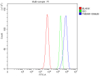 Flow Cytometry analysis of rat C6 cells using anti-TMEM9 antibody. Overlay histogram showing C6 cells stained with (Blue line). The cells were fixed with 4% paraformaldehyde and blocked with 10% normal goat serum. And then incubated with rabbit anti-TMEM9 antibody (1 ug/million cells) for 30 min at 20oC. DyLight 488 conjugated goat anti-rabbit IgG (5-10 ug/million cells) was used as secondary antibody for 30 minutes at 20oC. Isotype control antibody (Green line) was rabbit IgG (1 ug/million cells) used under the same conditions. Unlabelled sample without incubation with primary antibody and secondary antibody (Red line) was used as a blank control.
