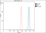 Flow Cytometry analysis of K562 cells using anti-PACSIN1 antibody. Overlay histogram showing K562 cells stained with (Blue line). To facilitate intracellular staining, cells were fixed with 4% paraformaldehyde and permeabilized with permeabilization buffer. The cells were blocked with 10% normal goat serum. And then incubated with rabbit anti-PACSIN1 antibody (1 ug/million cells) for 30 min at 20oC. DyLight 488 conjugated goat anti-rabbit IgG (5-10 ug/million cells) was used as secondary antibody for 30 minutes at 20oC. Isotype control antibody (Green line) was rabbit IgG (1 ug/million cells) used under the same conditions. Unlabelled sample (Red line) was also used as a control.