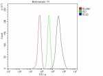 Flow Cytometry analysis of Raji cells using anti-BCL6 antibody. Overlay histogram showing Raji cells stained with (Blue line). To facilitate intracellular staining, cells were fixed with 4% paraformaldehyde and permeabilized with permeabilization buffer. The cells were blocked with 10% normal goat serum. And then incubated with rabbit anti-BCL6 antibody (1 ug/million cells) for 30 min at 20oC. DyLight 488 conjugated goat anti-rabbit IgG (5-10 ug/million cells) was used as secondary antibody for 30 minutes at 20oC. Isotype control antibody (Green line) was rabbit IgG (1 ug/million cells) used under the same conditions. Unlabelled sample without incubation with primary antibody and secondary antibody (Red line) was used as a blank control.