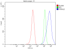 Flow Cytometry analysis of MCF-7 cells using anti-PITPNC1 antibody. Overlay histogram showing MCF-7 cells stained with (Blue line). To facilitate intracellular staining, cells were fixed with 4% paraformaldehyde and permeabilized with permeabilization buffer. The cells were blocked with 10% normal goat serum. And then incubated with rabbit anti-PITPNC1 antibody (1 ug/million cells) for 30 min at 20oC. DyLight 488 conjugated goat anti-rabbit IgG (5-10 ug/million cells) was used as secondary antibody for 30 minutes at 20oC. Isotype control antibody (Green line) was rabbit IgG (1 ug/million cells) used under the same conditions. Unlabelled sample without incubation with primary antibody and secondary antibody (Red line) was used as a blank control.