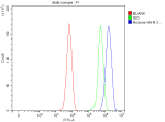 Histone H4 Antibody C6 FACS. Flow cytometry analysis of rat C6 cells using Histone H4 antibody. The Histone H4-stained population (blue) demonstrates a clear positive fluorescence shift relative to the rabbit IgG isotype control (green) and unstained blank control (red), consistent with intracellular detection of chromatin-associated HIST1H4 family proteins. Cells were fixed and permeabilized prior to staining to allow antibody access to nuclear nucleosome components. The observed signal pattern aligns with the broad nuclear distribution expected for core histone H4 proteins involved in chromatin organization and epigenetic regulation.