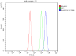 Flow Cytometry analysis of Jurkat cells using anti-PARP15 antibody. Overlay histogram showing Jurkat cells stained with (Blue line). To facilitate intracellular staining, cells were fixed with 4% paraformaldehyde and permeabilized with permeabilization buffer. The cells were blocked with 10% normal goat serum. And then incubated with rabbit anti-PARP15 antibody (1 ug/million cells) for 30 min at 20oC. DyLight 488 conjugated goat anti-rabbit IgG (5-10 ug/million cells) was used as secondary antibody for 30 minutes at 20oC. Isotype control antibody (Green line) was rabbit IgG (1 ug/million cells) used under the same conditions. Unlabelled sample without incubation with primary antibody and secondary antibody (Red line) was used as a blank control.