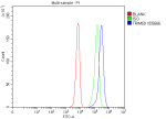 Flow Cytometry analysis of K562 cells using anti-TRIM59 antibody. Overlay histogram showing K562 cells stained with (Blue line). To facilitate intracellular staining, cells were fixed with 4% paraformaldehyde and permeabilized with permeabilization buffer. The cells were blocked with 10% normal goat serum. And then incubated with rabbit anti-TRIM59 antibody (1 ug/million cells) for 30 min at 20oC. DyLight 488 conjugated goat anti-rabbit IgG (5-10 ug/million cells) was used as secondary antibody for 30 minutes at 20oC. Isotype control antibody (Green line) was rabbit IgG (1 ug/million cells) used under the same conditions. Unlabelled sample without incubation with primary antibody and secondary antibody (Red line) was used as a blank control.