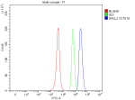 Flow Cytometry analysis of SH-SY5Y cells using anti-SALL2 antibody. Overlay histogram showing SH-SY5Y cells stained with (Blue line). To facilitate intracellular staining, cells were fixed with 4% paraformaldehyde and permeabilized with permeabilization buffer. The cells were blocked with 10% normal goat serum. And then incubated with rabbit anti-SALL2 antibody (1 ug/million cells) for 30 min at 20oC. DyLight 488 conjugated goat anti-rabbit IgG (5-10 ug/million cells) was used as secondary antibody for 30 minutes at 20oC. Isotype control antibody (Green line) was rabbit IgG (1 ug/million cells) used under the same conditions. Unlabelled sample without incubation with primary antibody and secondary antibody (Red line) was used as a blank control.