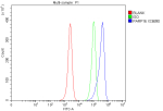 Flow Cytometry analysis of HL-60 cells using anti-PARP16 antibody. Overlay histogram showing HL-60 cells stained with (Blue line). To facilitate intracellular staining, cells were fixed with 4% paraformaldehyde and permeabilized with permeabilization buffer. The cells were blocked with 10% normal goat serum. And then incubated with rabbit anti-PARP16 antibody (1 ug/million cells) for 30 min at 20oC. DyLight 488 conjugated goat anti-rabbit IgG (5-10 ug/million cells) was used as secondary antibody for 30 minutes at 20oC. Isotype control antibody (Green line) was rabbit IgG (1 ug/million cells) used under the same conditions. Unlabelled sample without incubation with primary antibody and secondary antibody (Red line) was used as a blank control.