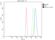 Flow Cytometry analysis of C2C12 cells using anti-GSTO1 antibody. Overlay histogram showing C2C12 cells stained with (Blue line). To facilitate intracellular staining, cells were fixed with 4% paraformaldehyde and permeabilized with permeabilization buffer. The cells were blocked with 10% normal goat serum. And then incubated with rabbit anti-GSTO1 antibody (1 ug/million cells) for 30 min at 20oC. DyLight 488 conjugated goat anti-rabbit IgG (5-10 ug/million cells) was used as secondary antibody for 30 minutes at 20oC. Isotype control antibody (Green line) was rabbit IgG (1 ug/million cells) used under the same conditions. Unlabelled sample without incubation with primary antibody and secondary antibody (Red line) was used as a blank control.
