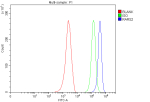 Flow Cytometry analysis of MCF-7 cells using anti-RARS2 antibody. Overlay histogram showing MCF-7 cells stained with (Blue line). To facilitate intracellular staining, cells were fixed with 4% paraformaldehyde and permeabilized with permeabilization buffer. The cells were blocked with 10% normal goat serum. And then incubated with rabbit anti-RARS2 antibody (1 ug/million cells) for 30 min at 20oC. DyLight 488 conjugated goat anti-rabbit IgG (5-10 ug/million cells) was used as secondary antibody for 30 minutes at 20oC. Isotype control antibody (Green line) was rabbit IgG (1 ug/million cells) used under the same conditions. Unlabelled sample without incubation with primary antibody and secondary antibody (Red line) was used as a blank control.