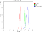 Flow Cytometry analysis of SIHA cells using anti-NCDN antibody. Overlay histogram showing SIHA cells stained with (Blue line). To facilitate intracellular staining, cells were fixed with 4% paraformaldehyde and permeabilized with permeabilization buffer. The cells were blocked with 10% normal goat serum. And then incubated with rabbit anti-NCDN antibody (1 ug/million cells) for 30 min at 20oC. DyLight 488 conjugated goat anti-rabbit IgG (5-10 ug/million cells) was used as secondary antibody for 30 minutes at 20oC. Isotype control antibody (Green line) was rabbit IgG (1 ug/million cells) used under the same conditions. Unlabelled sample without incubation with primary antibody and secondary antibody (Red line) was used as a blank control.