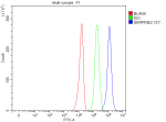 Flow Cytometry analysis of U251 cells using anti-SERPINE2 antibody. Overlay histogram showing U251 cells stained with (Blue line). The cells were fixed with 4% paraformaldehyde and blocked with 10% normal goat serum. And then incubated with rabbit anti-SERPINE2 antibody (1 ug/million cells) for 30 min at 20oC. DyLight 488 conjugated goat anti-rabbit IgG (5-10 ug/million cells) was used as secondary antibody for 30 minutes at 20oC. Isotype control antibody (Green line) was rabbit IgG (1 ug/million cells) used under the same conditions. Unlabelled sample without incubation with primary antibody and secondary antibody (Red line) was used as a blank control.
