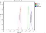 ADGRE5 Antibody FACS. Flow Cytometry analysis of U251 cells using anti-ADGRE5 antibody. Overlay histogram showing U251 cells stained with (Blue line). The cells were fixed with 4% paraformaldehyde and blocked with 10% normal goat serum. And then incubated with rabbit anti-ADGRE5 antibody (1 ug/million cells) for 30 min at 20oC. DyLight 488 conjugated goat anti-rabbit IgG (5-10 ug/million cells) was used as secondary antibody for 30 minutes at 20oC. Isotype control antibody (Green line) was rabbit IgG (1 ug/million cells) used under the same conditions. Unlabelled sample (Red line) was also used as a control.