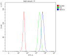 Flow Cytometry analysis of 293T cells using anti-HERC4 antibody. Overlay histogram showing 293T cells stained with (Blue line). To facilitate intracellular staining, cells were fixed with 4% paraformaldehyde and permeabilized with permeabilization buffer. The cells were blocked with 10% normal goat serum. And then incubated with rabbit anti-HERC4 antibody (1 ug/million cells) for 30 min at 20oC. DyLight 488 conjugated goat anti-rabbit IgG (5-10 ug/million cells) was used as secondary antibody for 30 minutes at 20oC. Isotype control antibody (Green line) was rabbit IgG (1 ug/million cells) used under the same conditions. Unlabelled sample without incubation with primary antibody and secondary antibody (Red line) was used as a blank control.