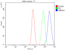 Flow Cytometry analysis of cells using anti-HIBADH antibody. Overlay histogram showing cells stained with (Blue line). To facilitate intracellular staining, cells were fixed with 4% paraformaldehyde and permeabilized with permeabilization buffer. The cells were blocked with 10% normal goat serum. And then incubated with rabbit anti-HIBADH antibody (1 ug/million cells) for 30 min at 20oC. DyLight 488 conjugated goat anti-rabbit IgG (5-10 ug/million cells) was used as secondary antibody for 30 minutes at 20oC. Isotype control antibody (Green line) was rabbit IgG (1 ug/million cells) used under the same conditions. Unlabelled sample (Red line) was also used as a control.
