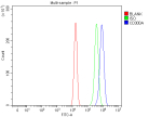 Flow Cytometry analysis of U20S cells using anti-CD300A antibody. Overlay histogram showing U20S cells stained with (Blue line). The cells were fixed with 4% paraformaldehyde and blocked with 10% normal goat serum. And then incubated with rabbit anti-CD300A antibody (1 ug/million cells) for 30 min at 20oC. DyLight 488 conjugated goat anti-rabbit IgG (5-10 ug/million cells) was used as secondary antibody for 30 minutes at 20oC. Isotype control antibody (Green line) was rabbit IgG (1 ug/million cells) used under the same conditions. Unlabelled sample (Red line) was also used as a control.