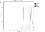 Flow Cytometry analysis of 293T cells using anti-RBM42 antibody. Overlay histogram showing 293T cells stained with (Blue line). To facilitate intracellular staining, cells were fixed with 4% paraformaldehyde and permeabilized with permeabilization buffer. The cells were blocked with 10% normal goat serum. And then incubated with rabbit anti-RBM42 antibody (1 ug/million cells) for 30 min at 20oC. DyLight 488 conjugated goat anti-rabbit IgG (5-10 ug/million cells) was used as secondary antibody for 30 minutes at 20oC. Isotype control antibody (Green line) was rabbit IgG (1 ug/million cells) used under the same conditions. Unlabelled sample (Red line) was also used as a control.