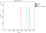 Flow Cytometry analysis of SiHa cells using anti-FUNDC1 antibody. Overlay histogram showing SiHa cells stained with (Blue line). To facilitate intracellular staining, cells were fixed with 4% paraformaldehyde and permeabilized with permeabilization buffer. The cells were blocked with 10% normal goat serum. And then incubated with rabbit anti-FUNDC1 antibody (1 ug/million cells) for 30 min at 20oC. DyLight 488 conjugated goat anti-rabbit IgG (5-10 ug/million cells) was used as secondary antibody for 30 minutes at 20oC. Isotype control antibody (Green line) was rabbit IgG (1 ug/million cells) used under the same conditions. Unlabelled sample without incubation with primary antibody and secondary antibody (Red line) was used as a blank control.