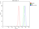 Flow Cytometry analysis of THP-1 cells using anti-SHE antibody. Overlay histogram showing THP-1 cells stained with (Blue line). To facilitate intracellular staining, cells were fixed with 4% paraformaldehyde and permeabilized with permeabilization buffer. The cells were blocked with 10% normal goat serum. And then incubated with rabbit anti-SHE antibody (1 ug/million cells) for 30 min at 20oC. DyLight 488 conjugated goat anti-rabbit IgG (5-10 ug/million cells) was used as secondary antibody for 30 minutes at 20oC. Isotype control antibody (Green line) was rabbit IgG (1 ug/million cells) used under the same conditions. Unlabelled sample without incubation with primary antibody and secondary antibody (Red line) was used as a blank control.