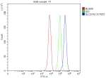 Flow Cytometry analysis of HepG2 cells using anti-SLC27A2 antibody. Overlay histogram showing HepG2 cells stained with (Blue line). The cells were fixed with 4% paraformaldehyde and blocked with 10% normal goat serum. And then incubated with rabbit anti-SLC27A2 antibody (1 ug/million cells) for 30 min at 20oC. DyLight 488 conjugated goat anti-rabbit IgG (5-10 ug/million cells) was used as secondary antibody for 30 minutes at 20oC. Isotype control antibody (Green line) was rabbit IgG (1 ug/million cells) used under the same conditions. Unlabelled sample without incubation with primary antibody and secondary antibody (Red line) was used as a blank control.