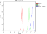 Flow Cytometry analysis of HepG2 cells using anti-NUPR1 antibody. Overlay histogram showing HepG2 cells stained with (Blue line). To facilitate intracellular staining, cells were fixed with 4% paraformaldehyde and permeabilized with permeabilization buffer. The cells were blocked with 10% normal goat serum. And then incubated with rabbit anti-NUPR1 antibody (1 ug/million cells) for 30 min at 20oC. DyLight 488 conjugated goat anti-rabbit IgG (5-10 ug/million cells) was used as secondary antibody for 30 minutes at 20oC. Isotype control antibody (Green line) was rabbit IgG (1 ug/million cells) used under the same conditions. Unlabelled sample without incubation with primary antibody and secondary antibody (Red line) was used as a blank control.