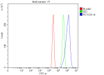 Flow Cytometry analysis of SiHa cells using anti-PCYOX1 antibody. Overlay histogram showing SiHa cells stained with (Blue line). To facilitate intracellular staining, cells were fixed with 4% paraformaldehyde and permeabilized with permeabilization buffer. The cells were blocked with 10% normal goat serum. And then incubated with rabbit anti-PCYOX1 antibody (1 ug/million cells) for 30 min at 20oC. DyLight 488 conjugated goat anti-rabbit IgG (5-10 ug/million cells) was used as secondary antibody for 30 minutes at 20oC. Isotype control antibody (Green line) was rabbit IgG (1 ug/million cells) used under the same conditions. Unlabelled sample (Red line) was also used as a control.